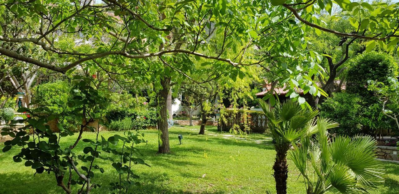 Villa Giardino Heritage Boutique Hotel Bol Esterno foto